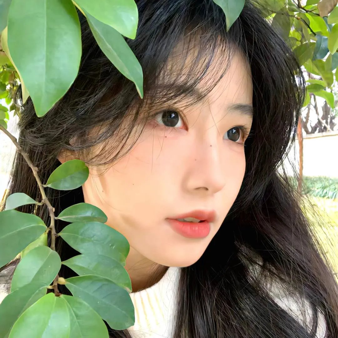 红伶泪